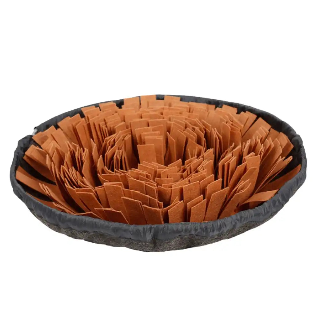 Schnüffelmatte für Hunde Spiel & Förderung