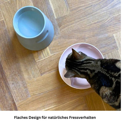 Flacher Katzennapf aus Porzellan gegen Schnurrhaar Stress