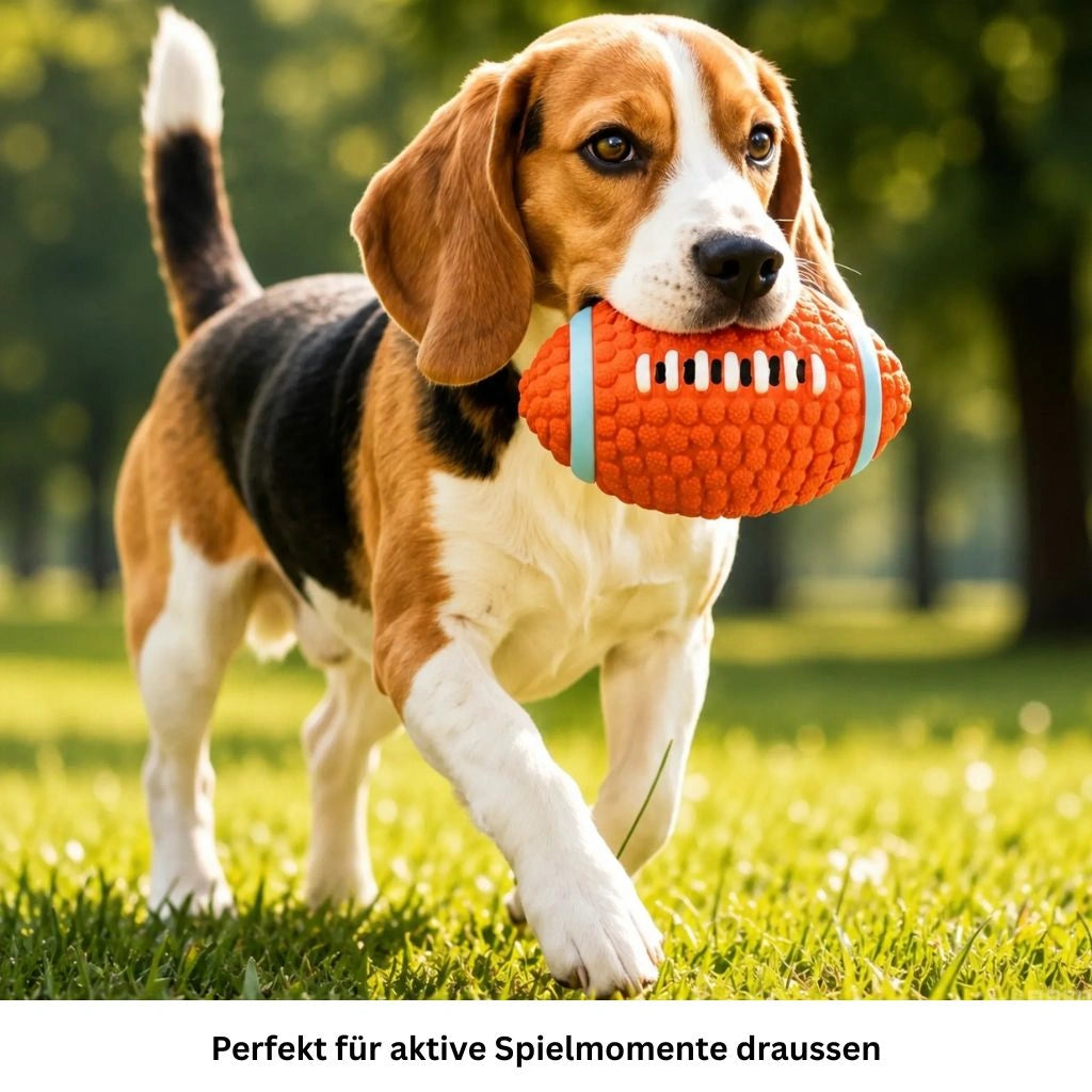 Hundespielzeug Quietscheball für Hunde