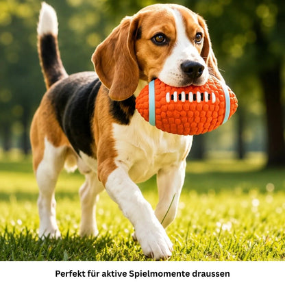 Hundespielzeug Quietscheball für Hunde