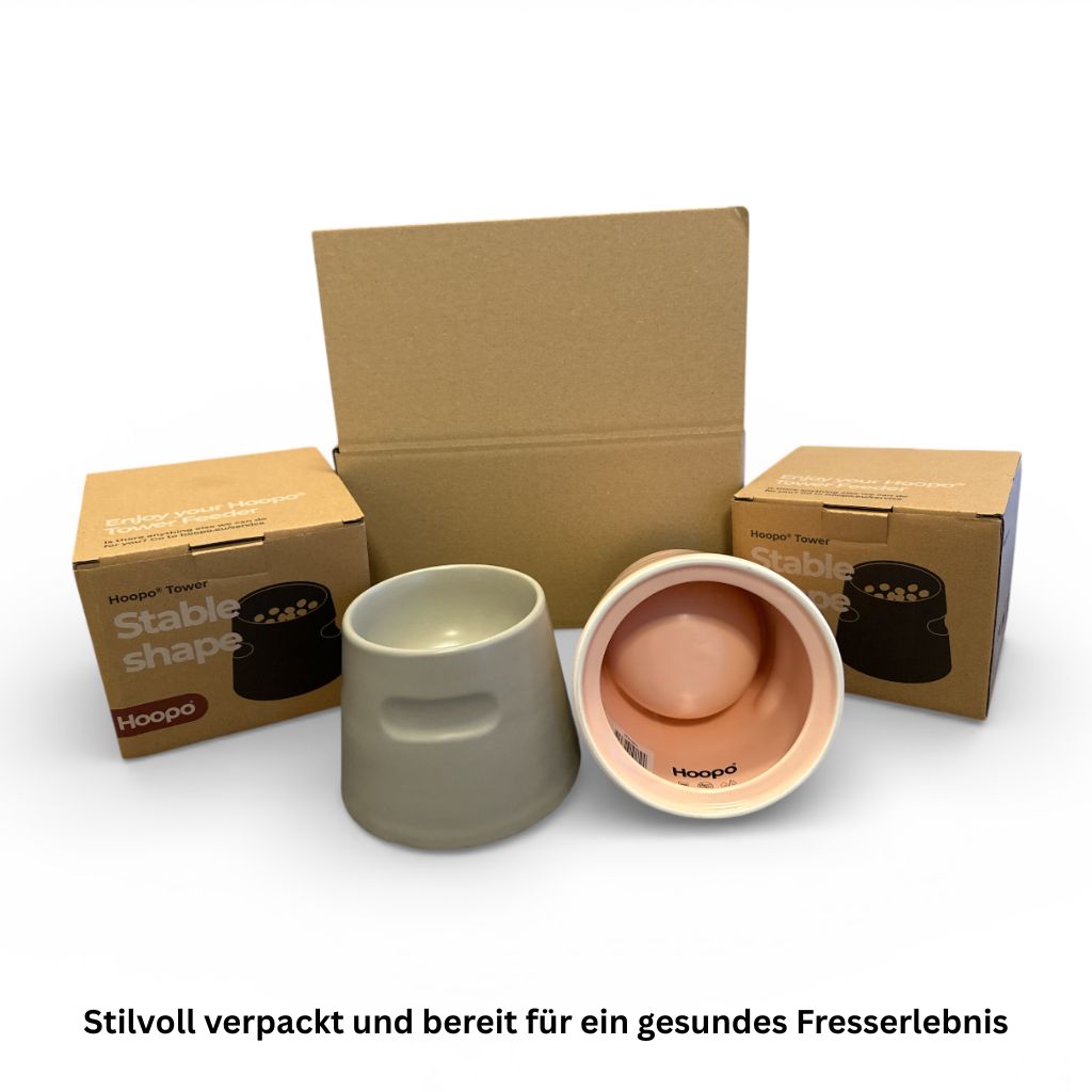 Erhöhter Porzellan Fressnapf für Katzen 300ml