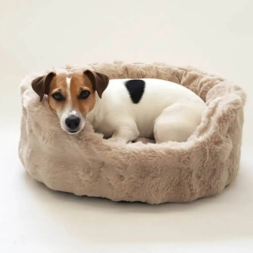 Hundebett Chester Nomi weiches Kuschelbett für Hunde in Kies, Beige