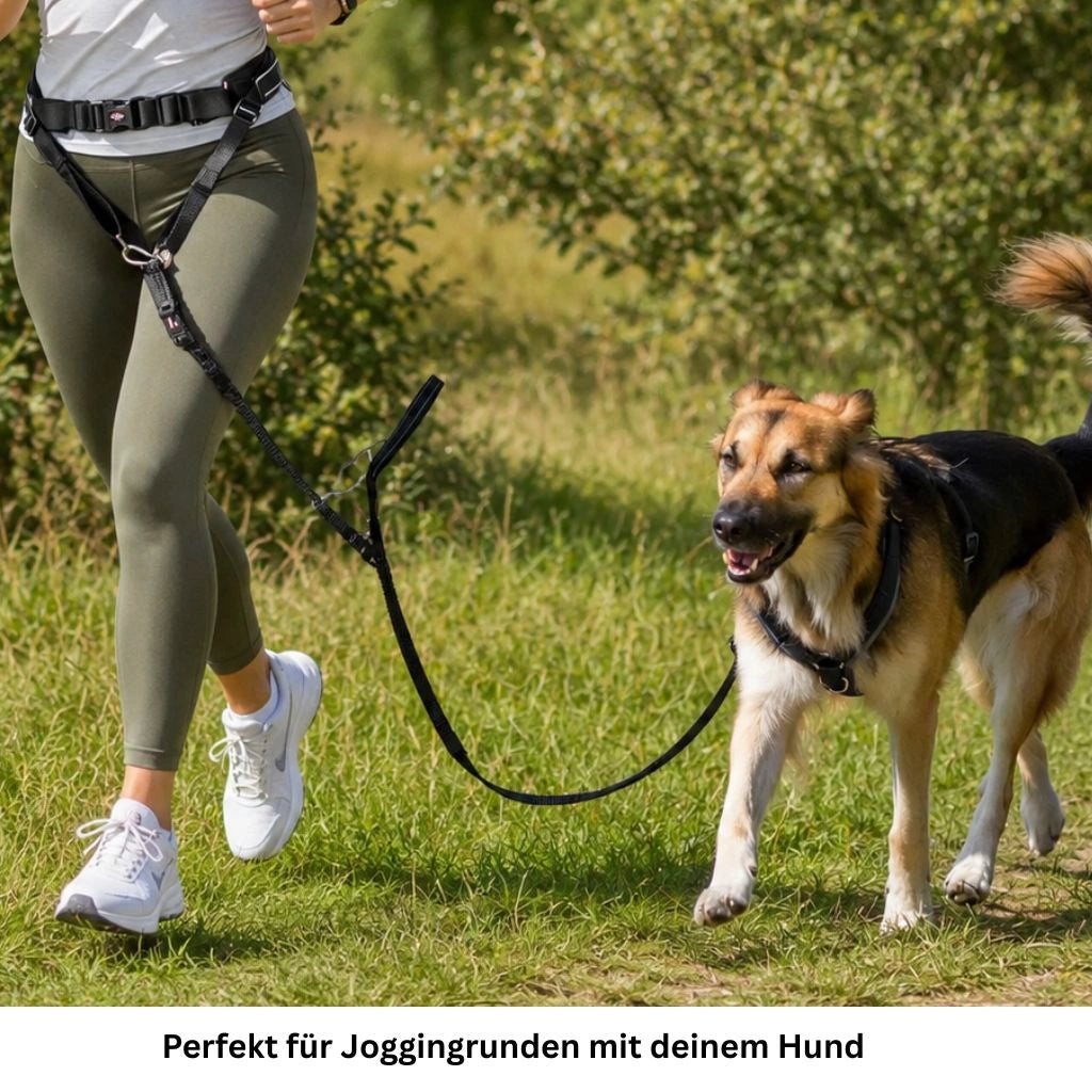 Bauchgurt mit Joggingleine für Hunde