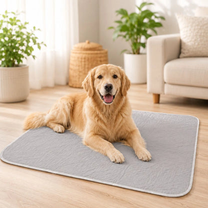 Kühlende Hundematte XL 80 × 120 cm