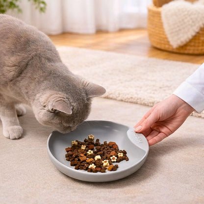 Flacher Katzennapf aus Porzellan gegen Schnurrhaar Stress