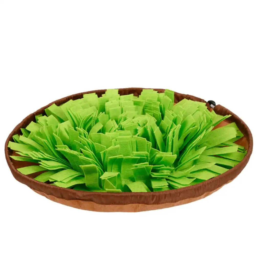 Schnüffelmatte für Hunde Spiel & Förderung