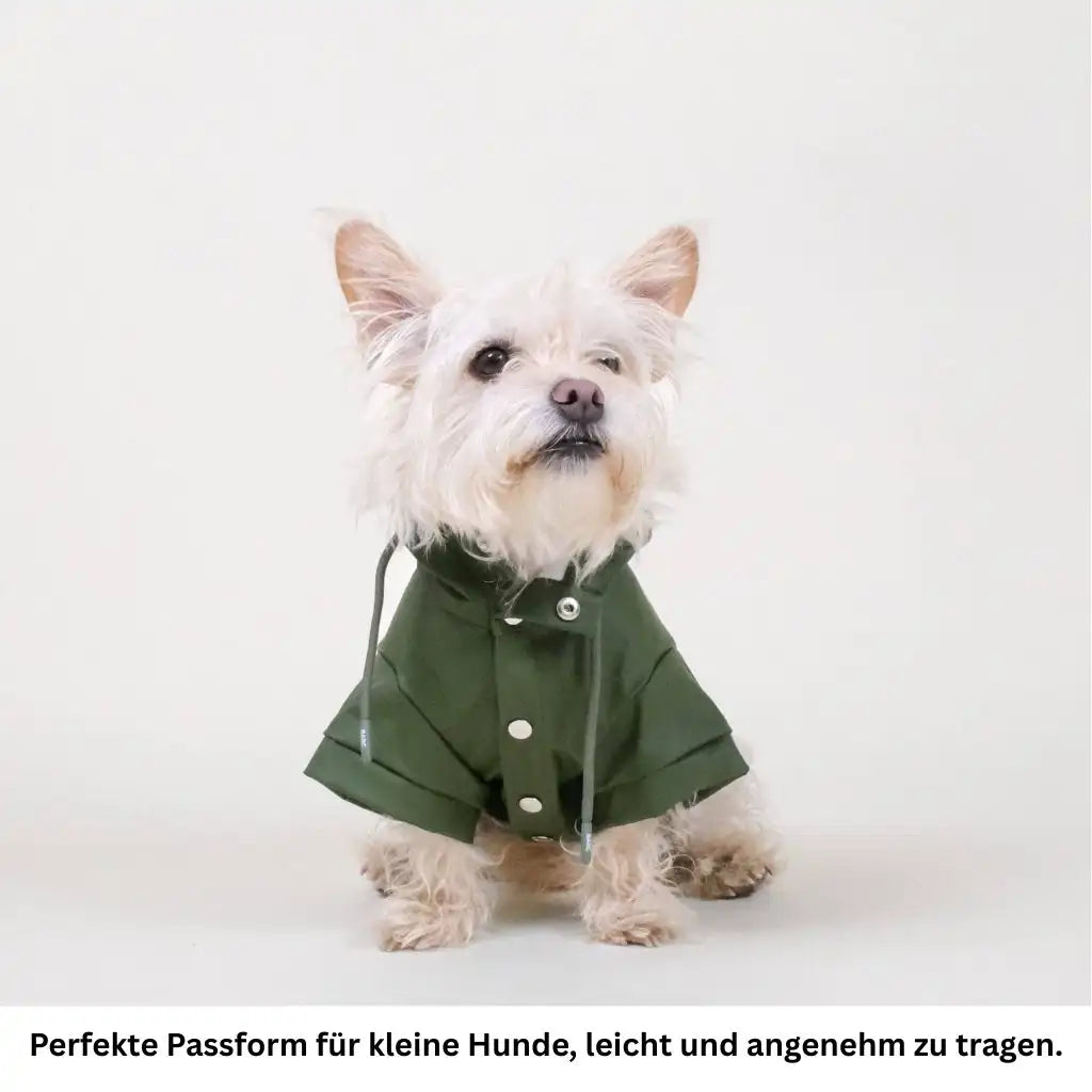 Wasserdichter Hundemantel Grün für Regenwetter