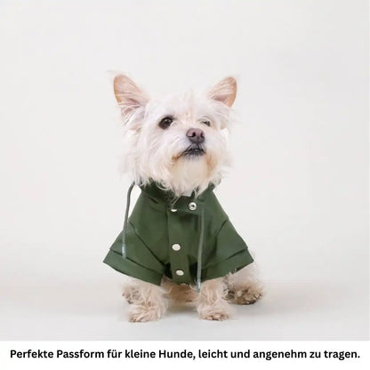Stylischer wasserdichter Hundemantel