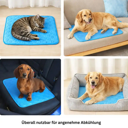Kühlende Sommerdecke für Hunde & Katzen