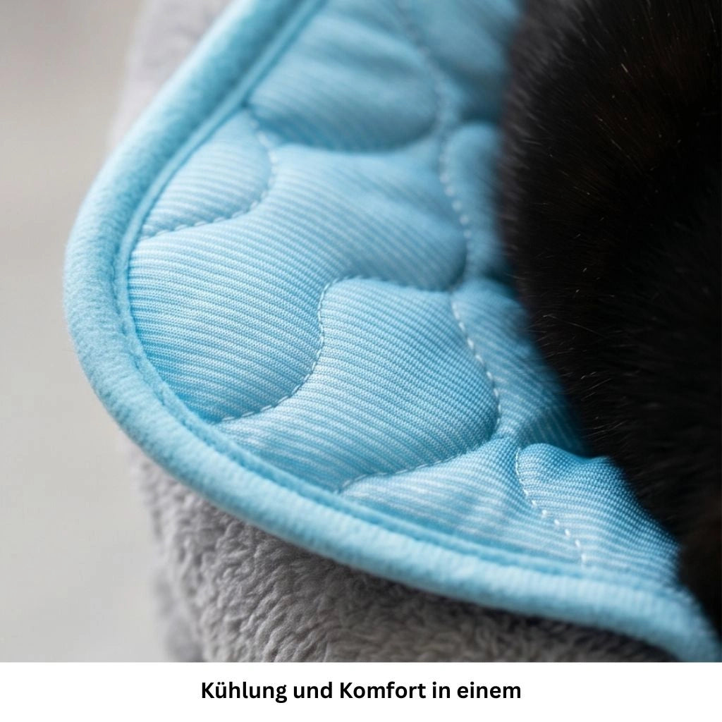 Hund entspannt auf der kühlenden Sommerdecke für Hunde und Katzen