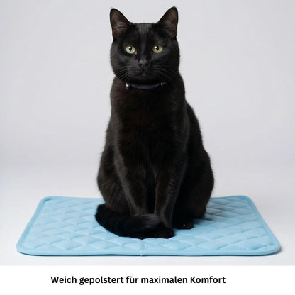 Schwarze Katze sitzt auf einer atmungsaktiven Kühlmatte für Haustiere