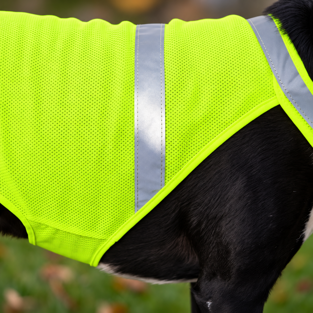 Reflektierende Hunde-Sicherheitsweste in Neongelb