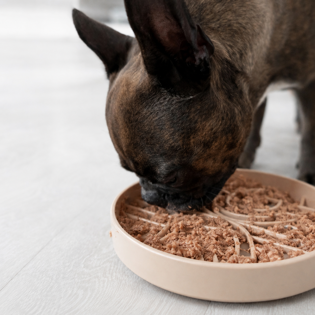 Anti Schling Napf Hund Slow Feeder 250ml Silikon