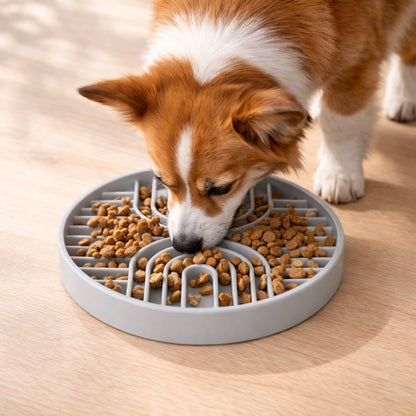 Anti Schling Napf Hund Slow Feeder 250ml Silikon