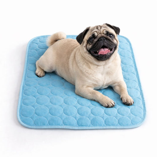 Kühlende Sommerdecke für Hunde & Katzen