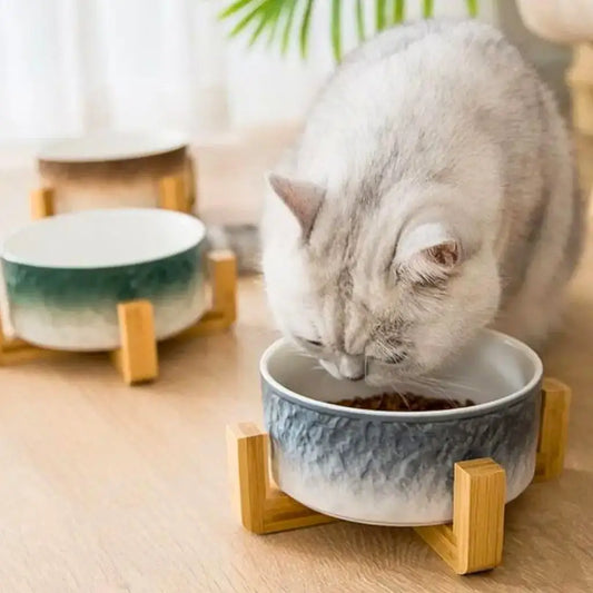 Erhöhter Keramiknapf für Hunde & Katzen – rutschfest