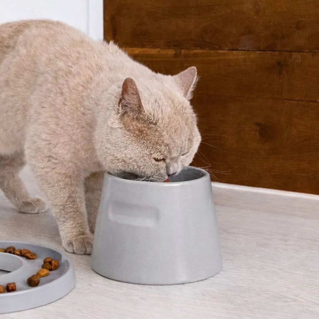Erhöhter Porzellan Fressnapf für Katzen 300ml
