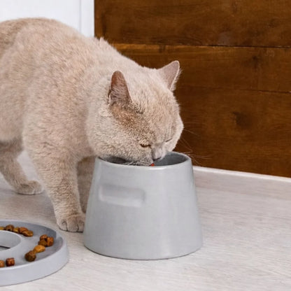 Hoopo Ergonomischer Tower Fressnapf für Katzen