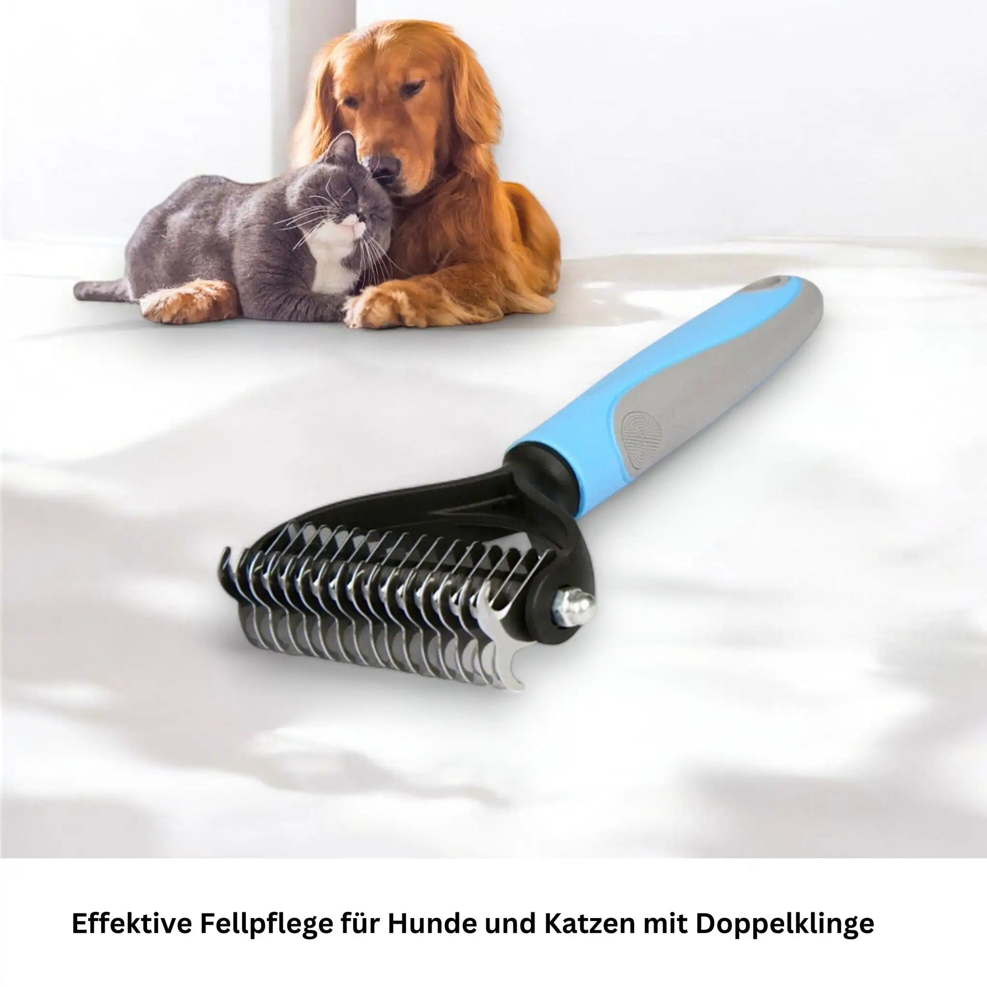 Haustierbesitzer bürstet Hund – Fellpflege leicht gemacht