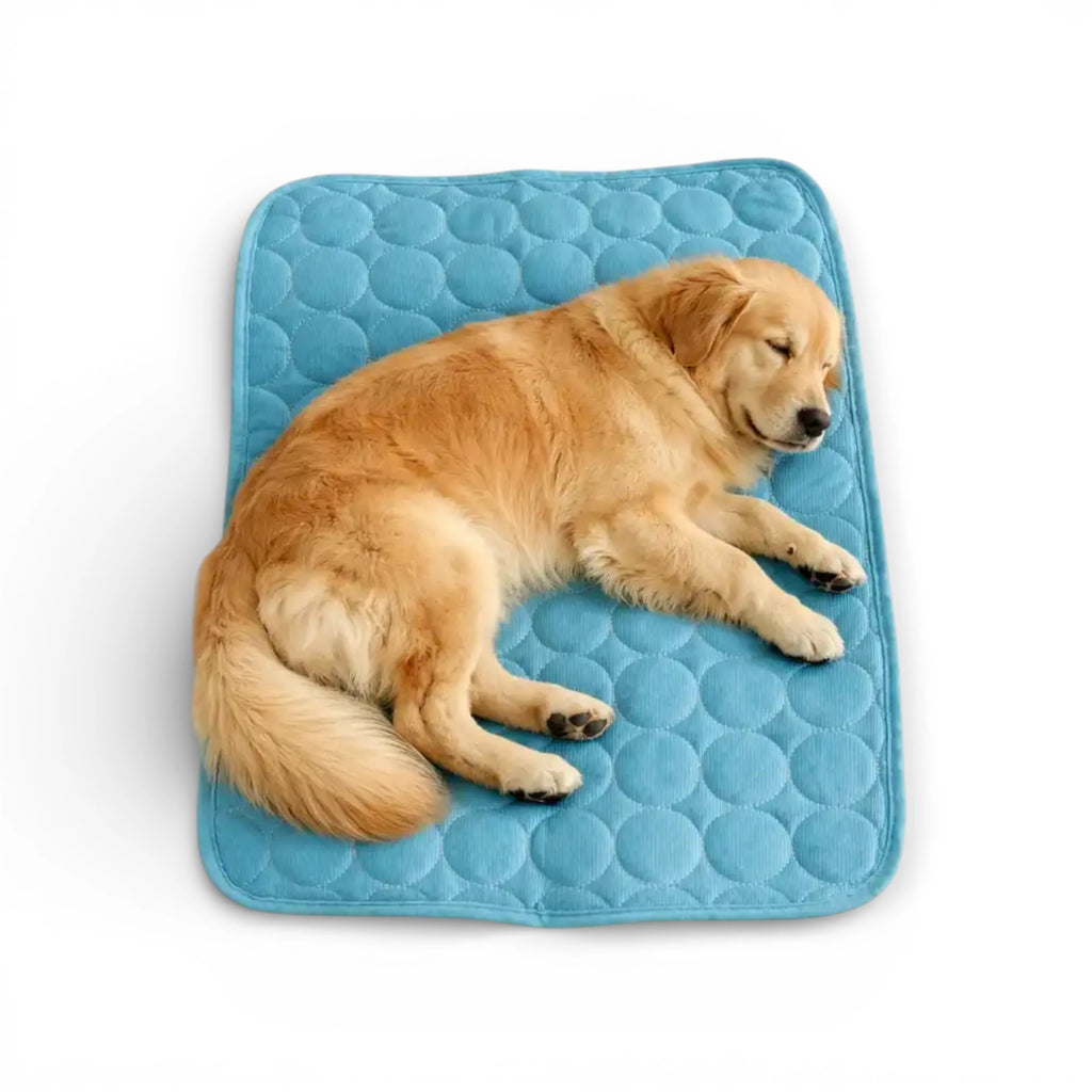 Kühlende Sommerdecke für Hunde & Katzen