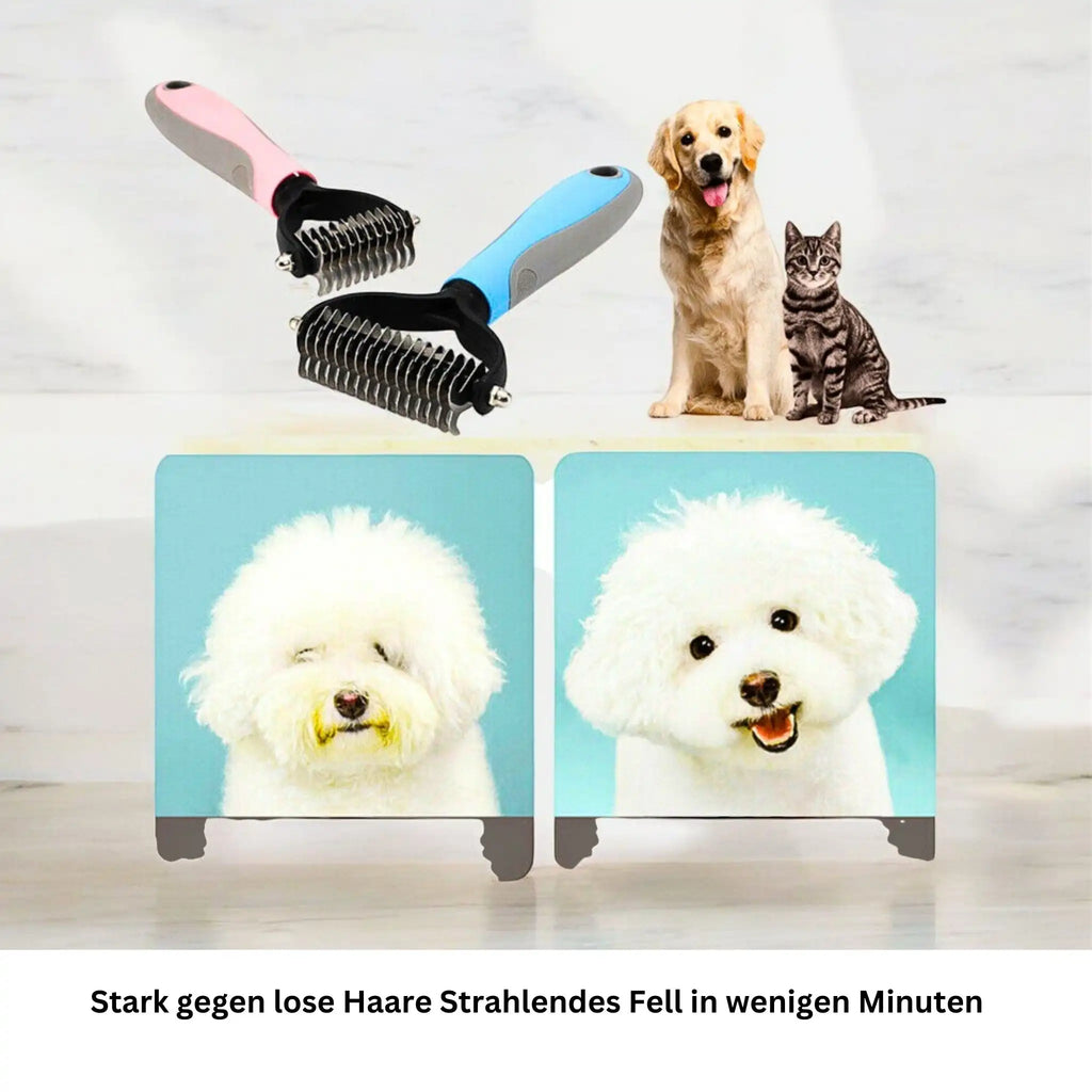 Hunde vor und nach dem Bürsten – Fellunterschied sichtbar