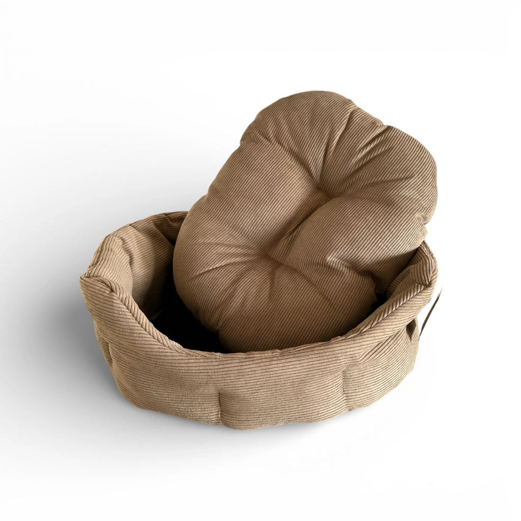 Hunde bett von der seite

