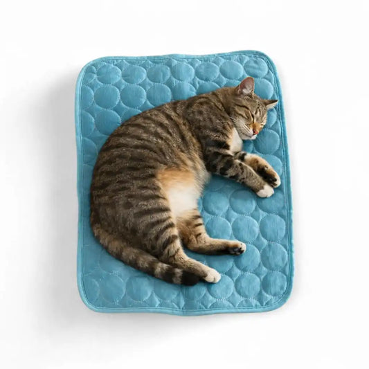 Kühlende Sommerdecke für Hunde & Katzen