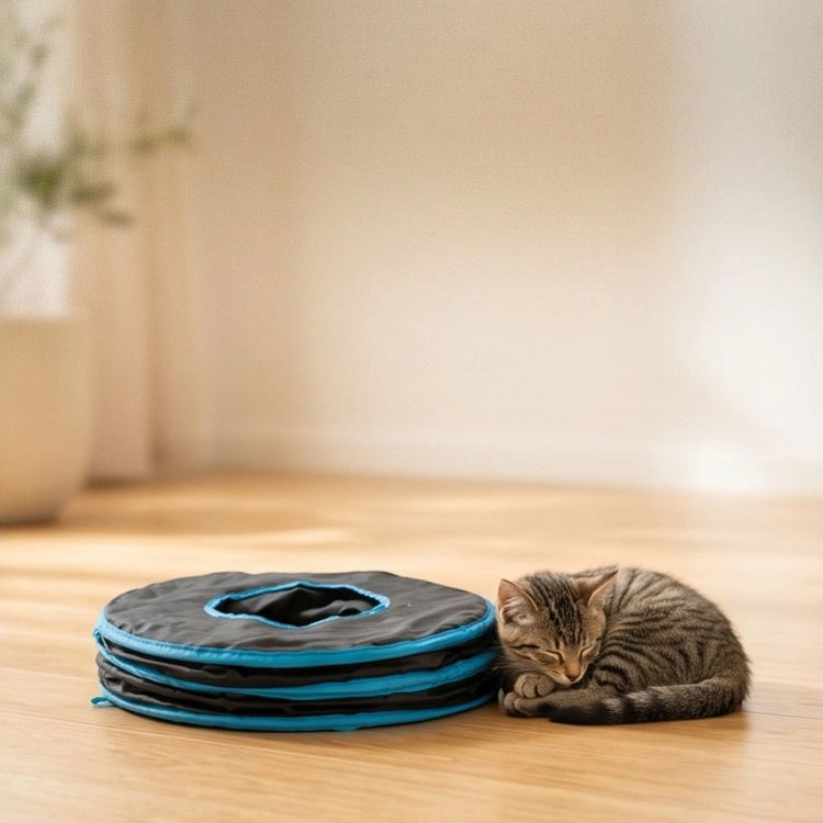 Katzentunnel kompakt gefaltet neben Katze