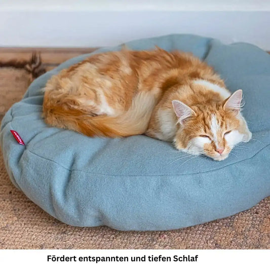 Orange weisse Katze schläft ruhig auf blauem Katzenbett