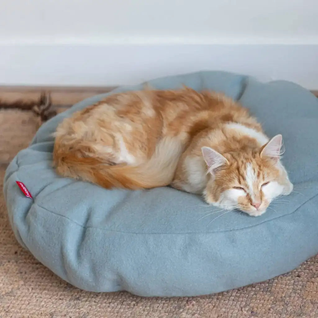 Orange weisse Katze liegt ruhig auf blauem Katzenbett