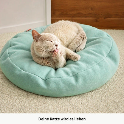Helle Katze liegt ruhig auf mintfarbenem Katzenbett