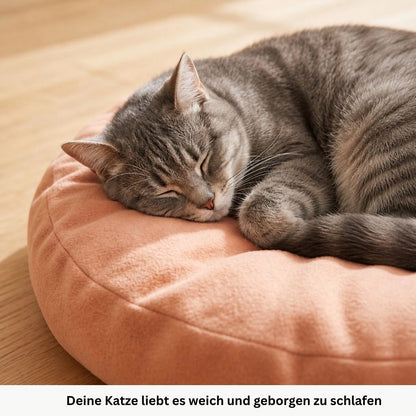 raue Katze liegt gemütlich auf weichem Katzenbett