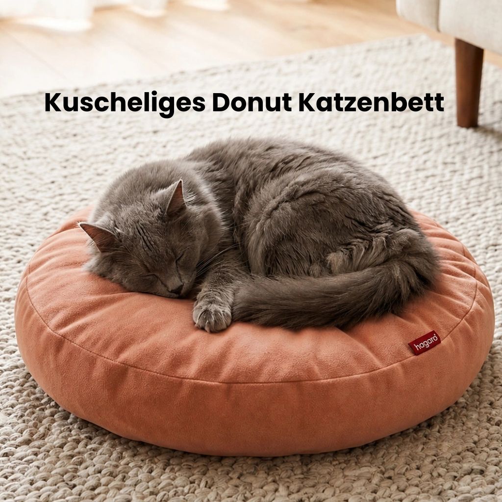 Katze schläft gemütlich auf weichem rundem Katzenbett.