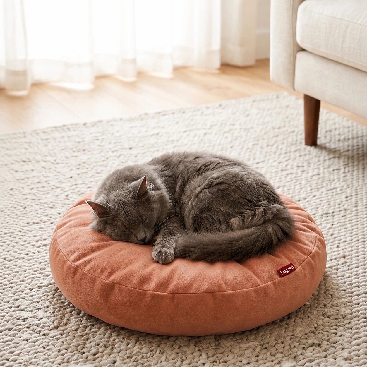 Katze schläft gemütlich auf weichem rundem Katzenbett