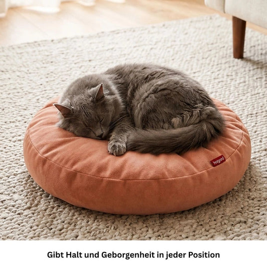 Graue Katze schläft entspannt auf rundem orangem Katzenbett