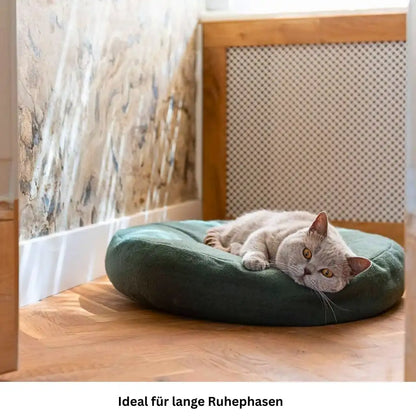 Katze entspannt sich auf gruenem Katzenbett am Boden