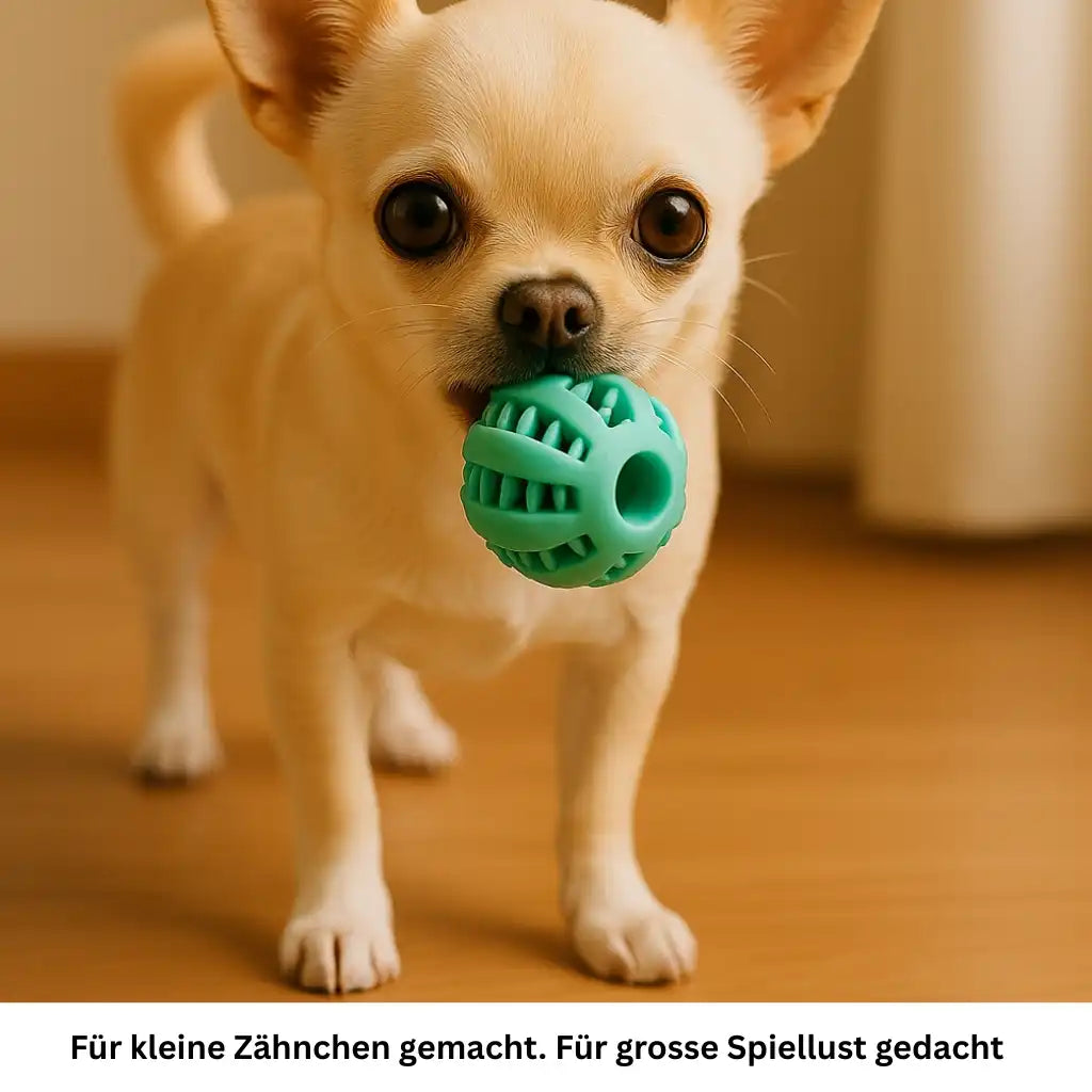 Kleiner Kauball 5 cm für Kleine und  Hunde, robust und sicher