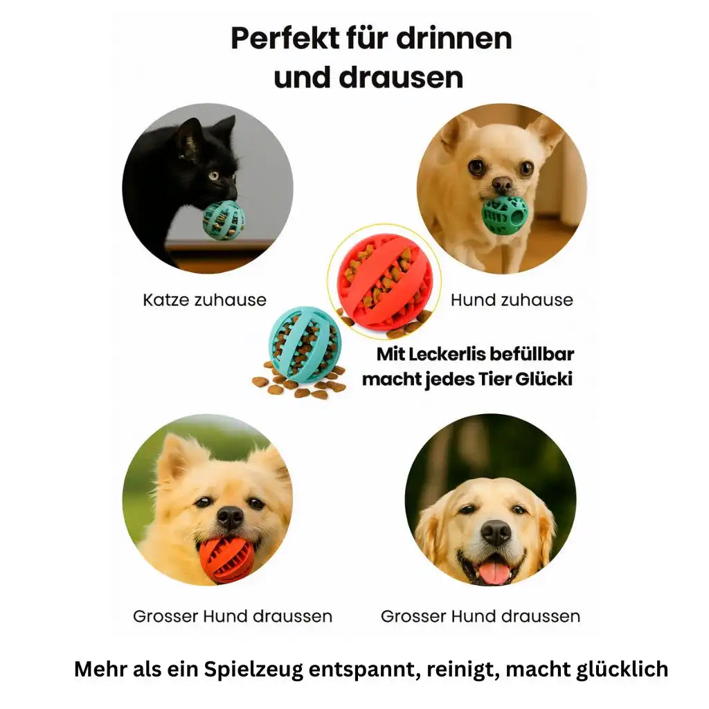 Katzen und Hunde Kauball aus Naturgummi mit Vorteilen für Zahnpflege und Intelligenzförderung