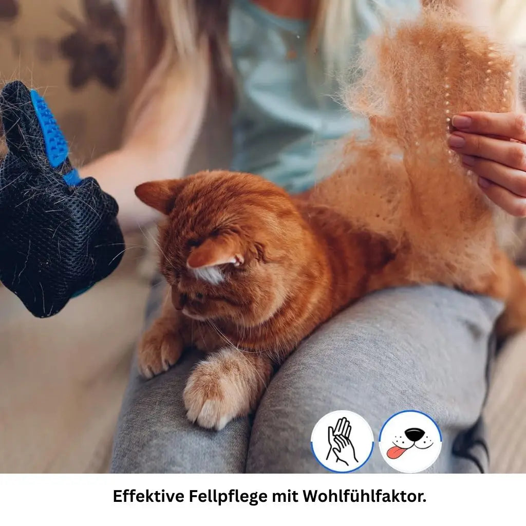 Fellpflegehandschuhe für Hunde und Katzen, sanftes Bürsten gegen lose Haare 2-3 Werktage