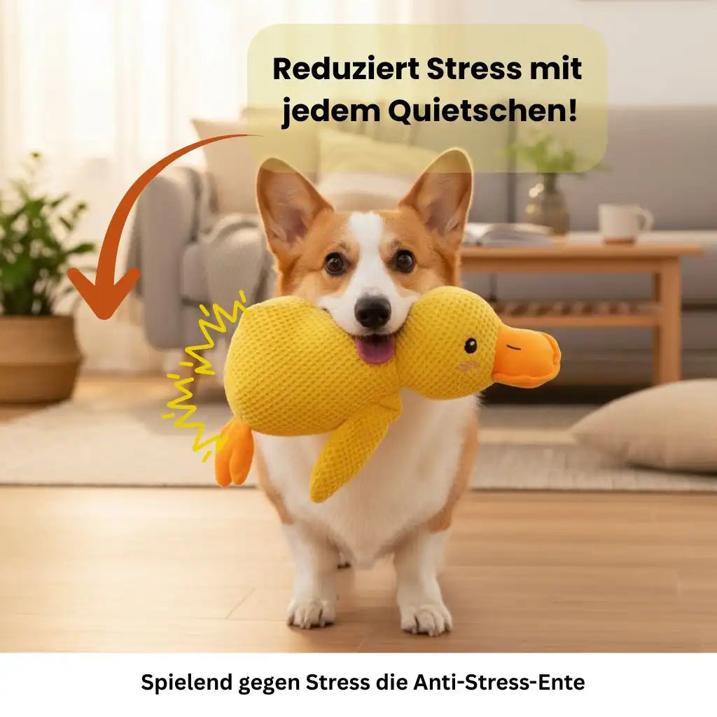 Hundespielzeug Ente gegen Langeweile