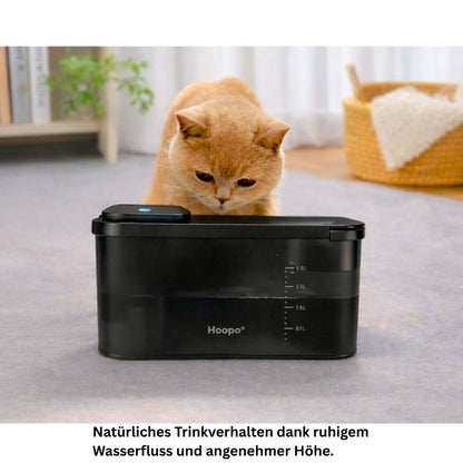 Trinkbrunnen von der Seite