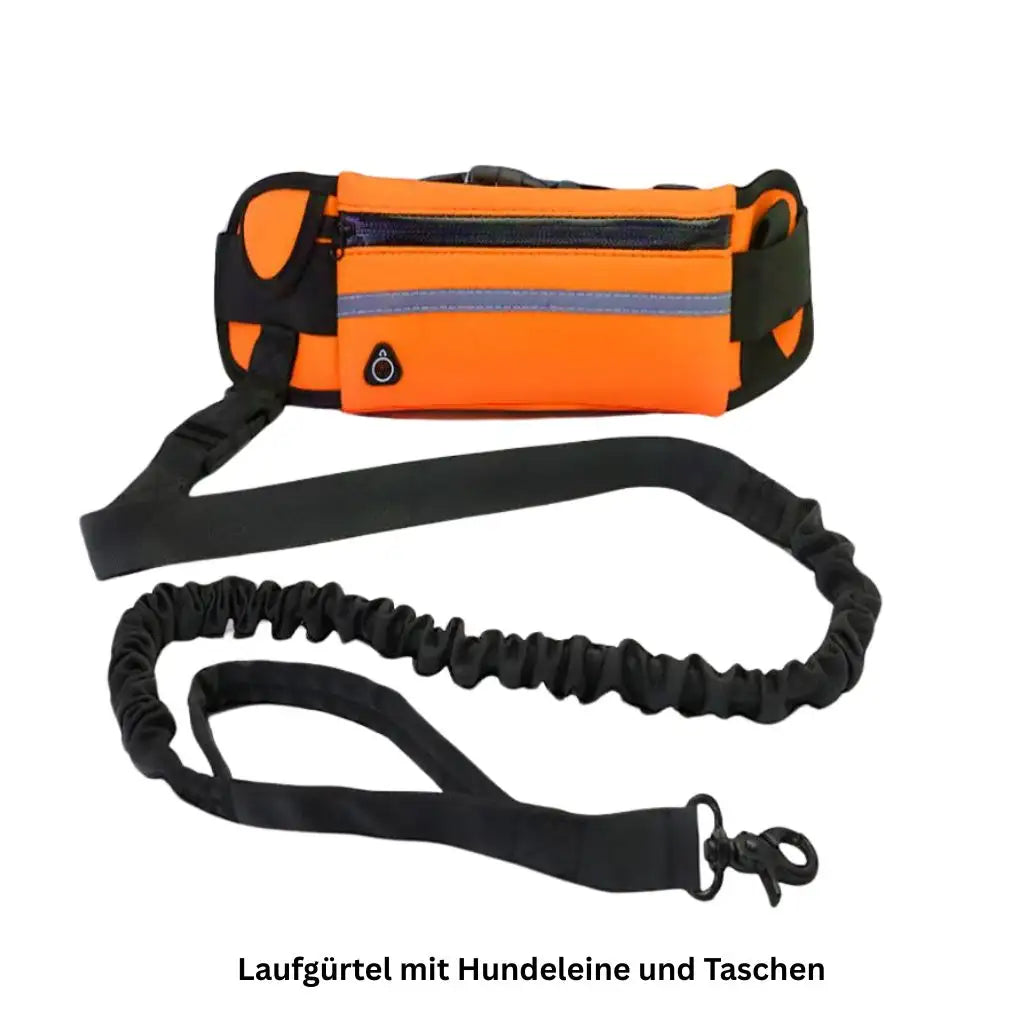 Freihändige Hundeleine mit Hüftgurt