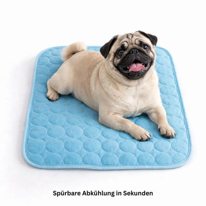 Hund entspannMops nutzt die weiche Kühlmatte an einem warmen Sommertagt auf blauer Kuehlmatte zur Abkuehlung im Sommer