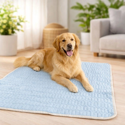 Golden Retriever liegt auf blauer selbstkuehlender Kuehlmatte im Wohnzimmer