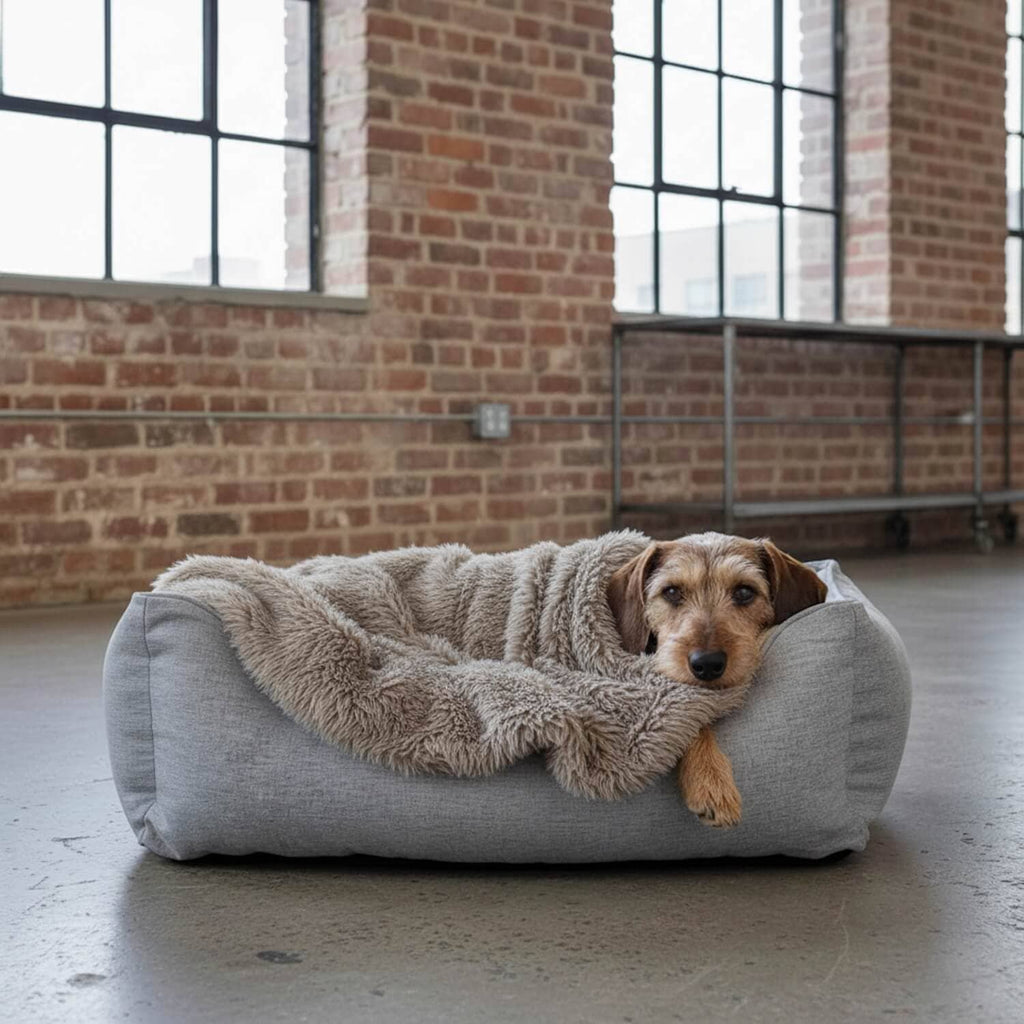 Hundedecke Plaid Mogli taupe Grau-Beige