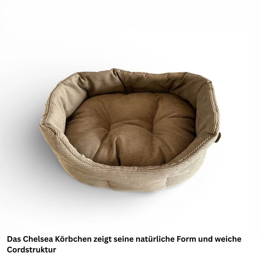 Hund liegt seitlich im Chelsea Cord Körbchen und wirkt entspannt