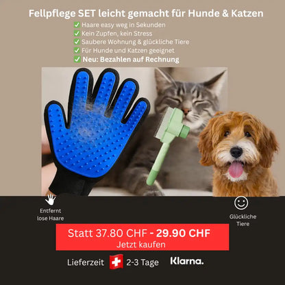 Fellpflege-Set für Hunde und Katzen mit Handschuh und Bürste, vor Katze und Hund, Preisaktion 29.90 CHF.