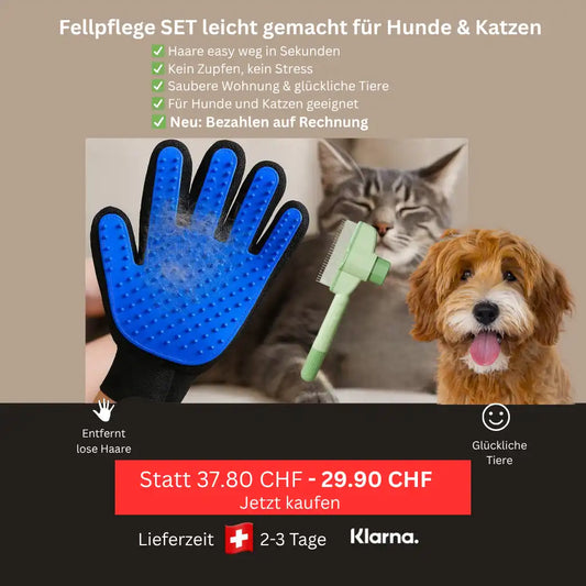 Fellpflege-Set für Hunde und Katzen mit Handschuh und Bürste, vor Katze und Hund, Preisaktion 29.90 CHF.