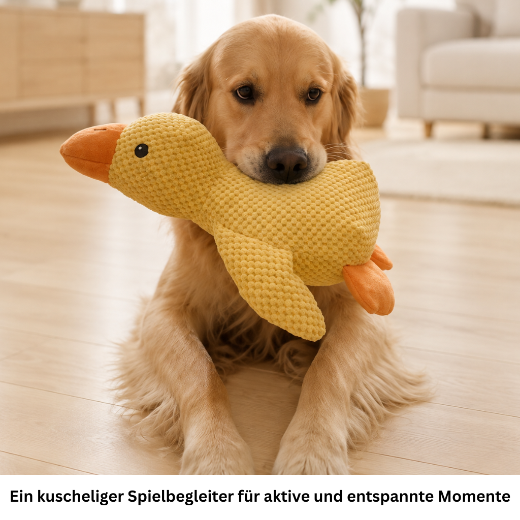 Golden Retriever hält eine weiche gelbe Quietschente im Maul.