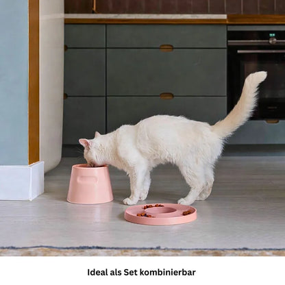 Katze frisst aus erhöhtem Porzellannapf für gesunde Haltung